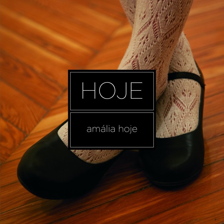 Amalia Hoje: Gaivota